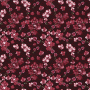 HOODIE: CHERRY ORCHID