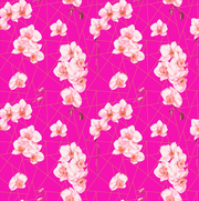 HOODIE: HOT PINK ORCHID